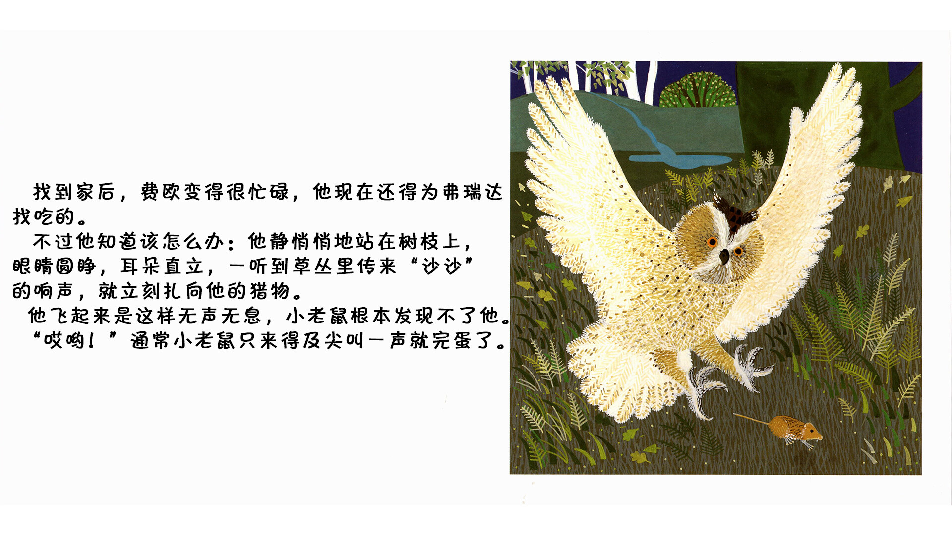 猫头鹰绘本故事第5页
