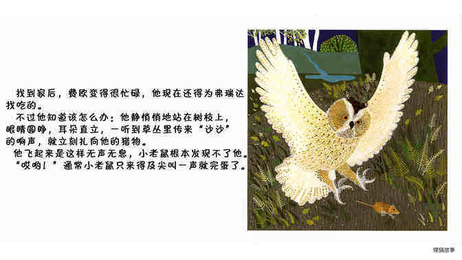 猫头鹰绘本故事第5页