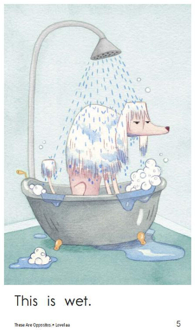 These Are Opposites绘本故事第5页