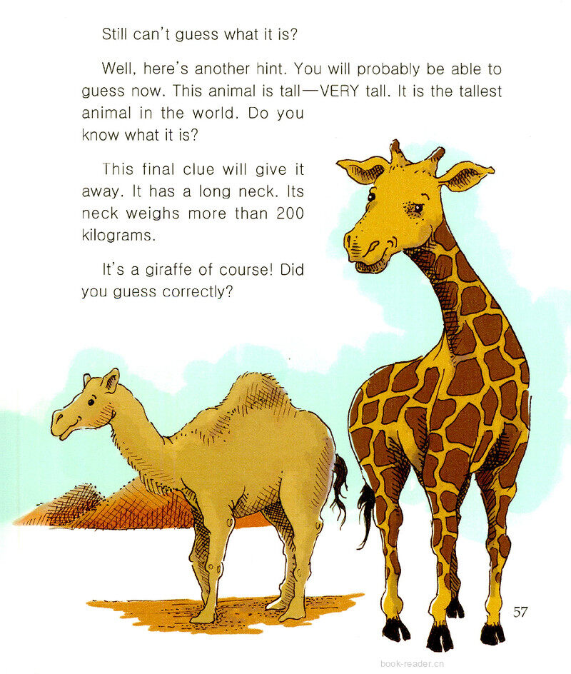 What Animal Is This?绘本故事第3页