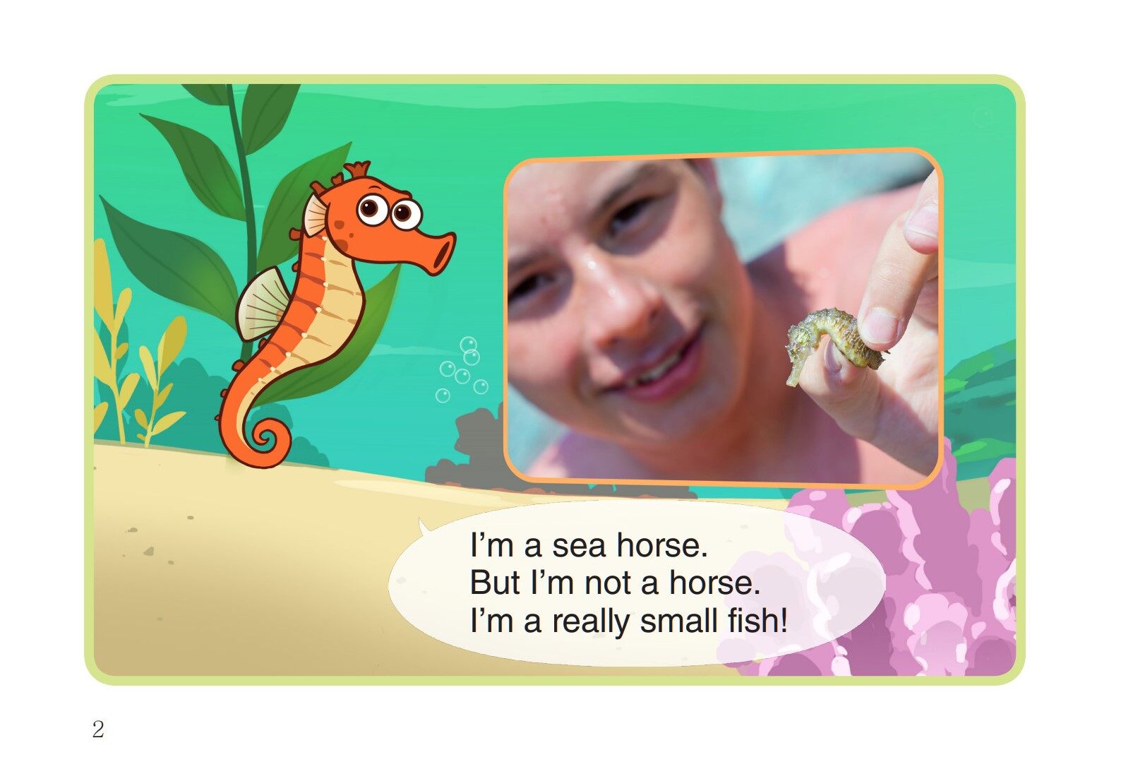 Sea Horse绘本故事第3页