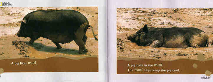 Mud,Mud,Mud绘本故事第4页