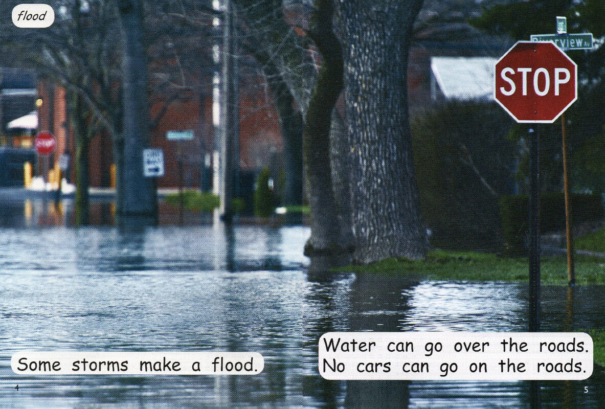 a stormy day绘本故事第4页