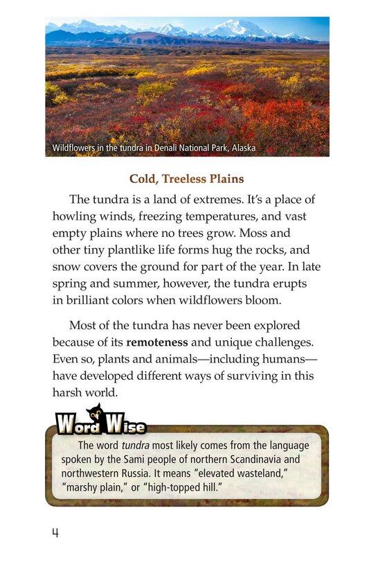 Tundra绘本故事第3页