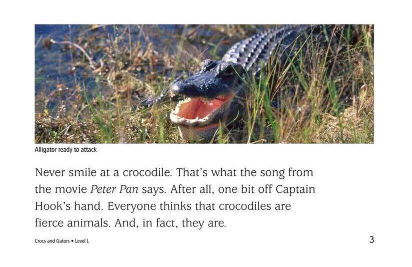Crocs and Gators绘本故事第3页