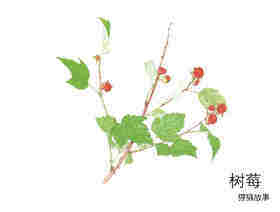 谁来陪我一起吃绘本故事第3页