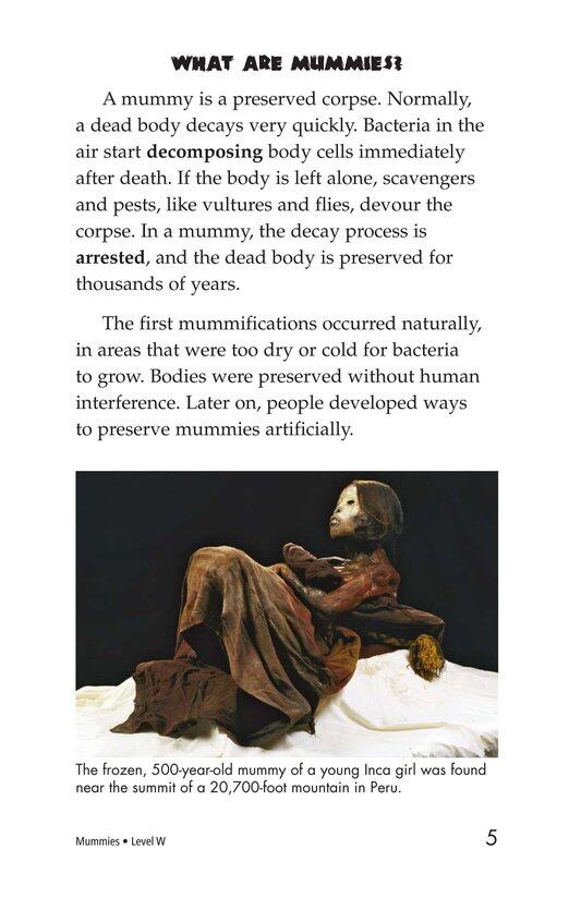 Mummies绘本故事第4页