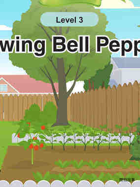 Growing Bell Peppers