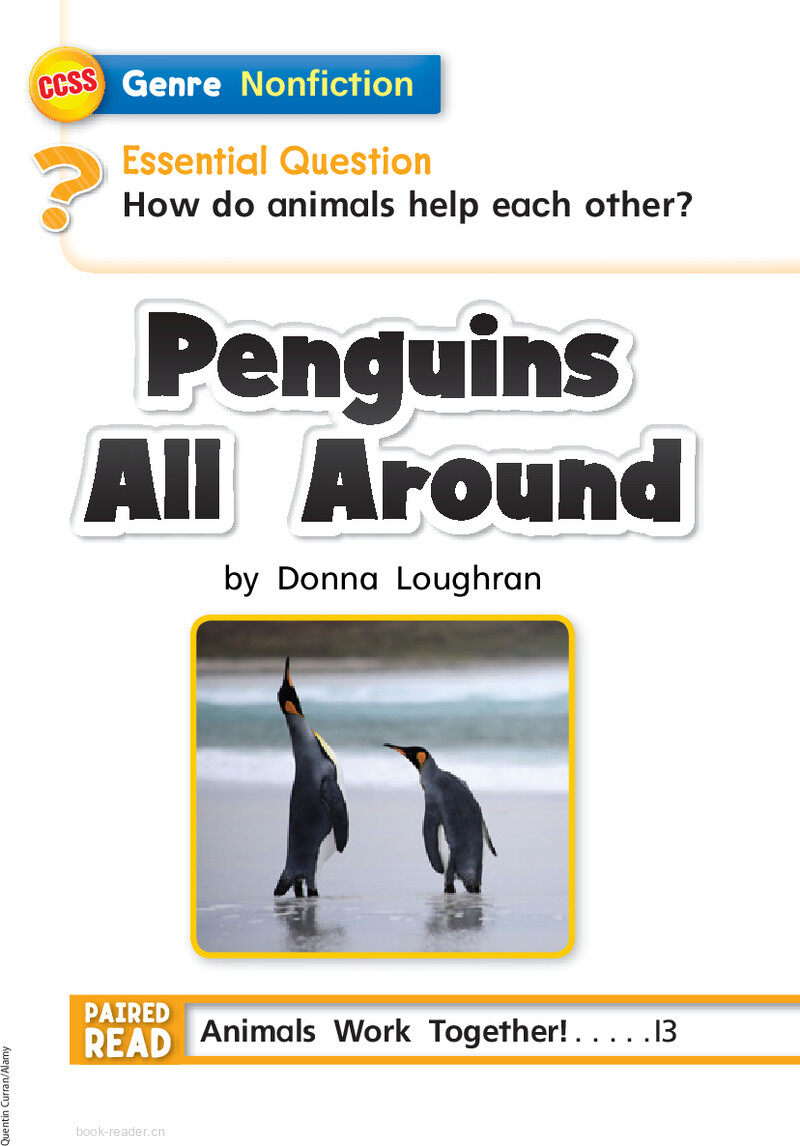 G1 App U4W2 Penguins All Around绘本故事第3页