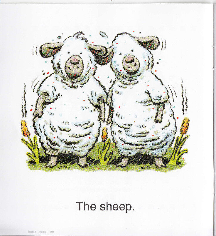 The Sheep Mess绘本故事第3页