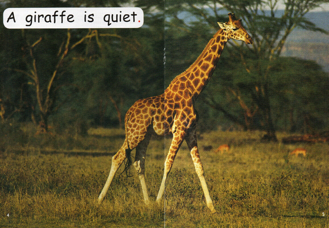 what is quiet？绘本故事第4页