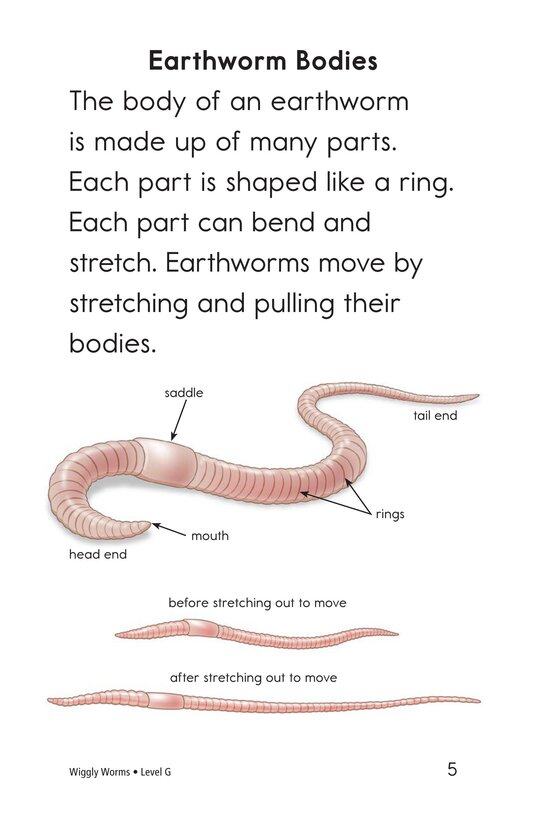 Wiggly Worms绘本故事第4页