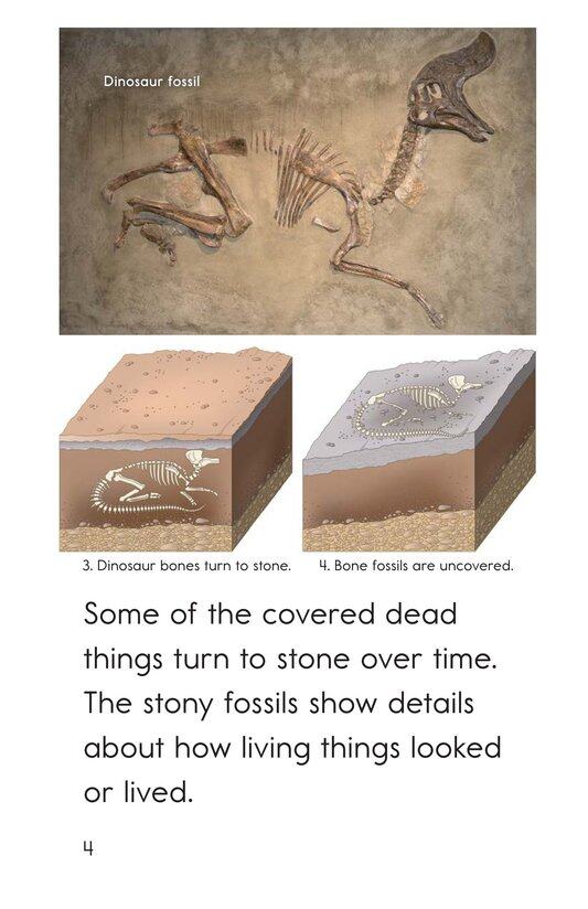 A Look at Fossils绘本故事第4页
