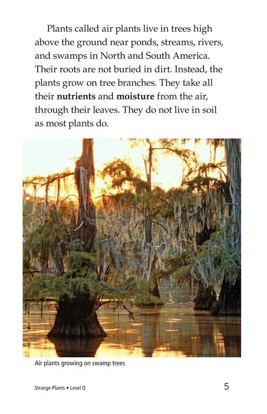 Strange Plants绘本故事第5页
