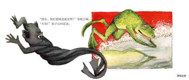 青蛙和影子绘本故事第4页
