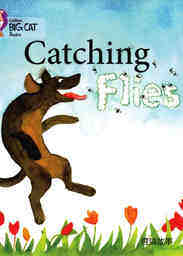 Catching Flies