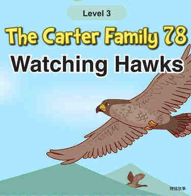 Watching Hawks