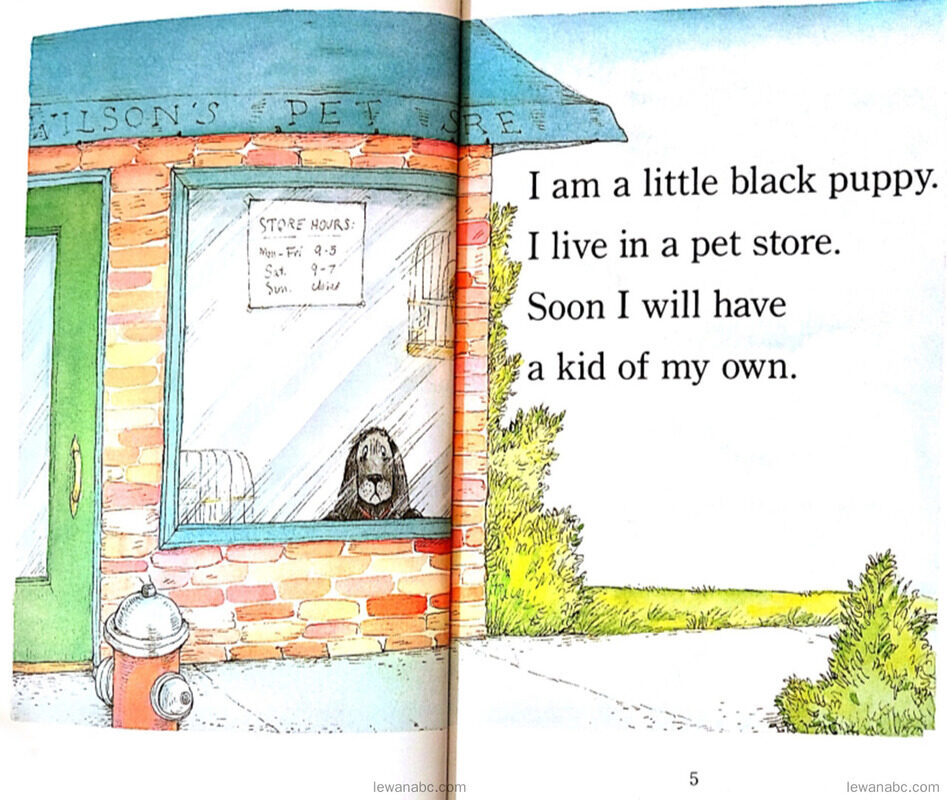 My New Boy绘本故事第3页