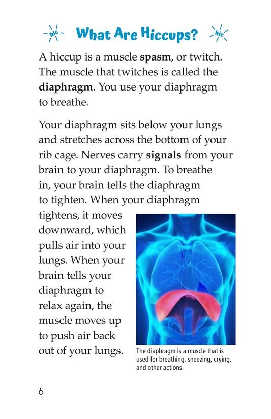 The Science of Hiccups绘本故事第5页