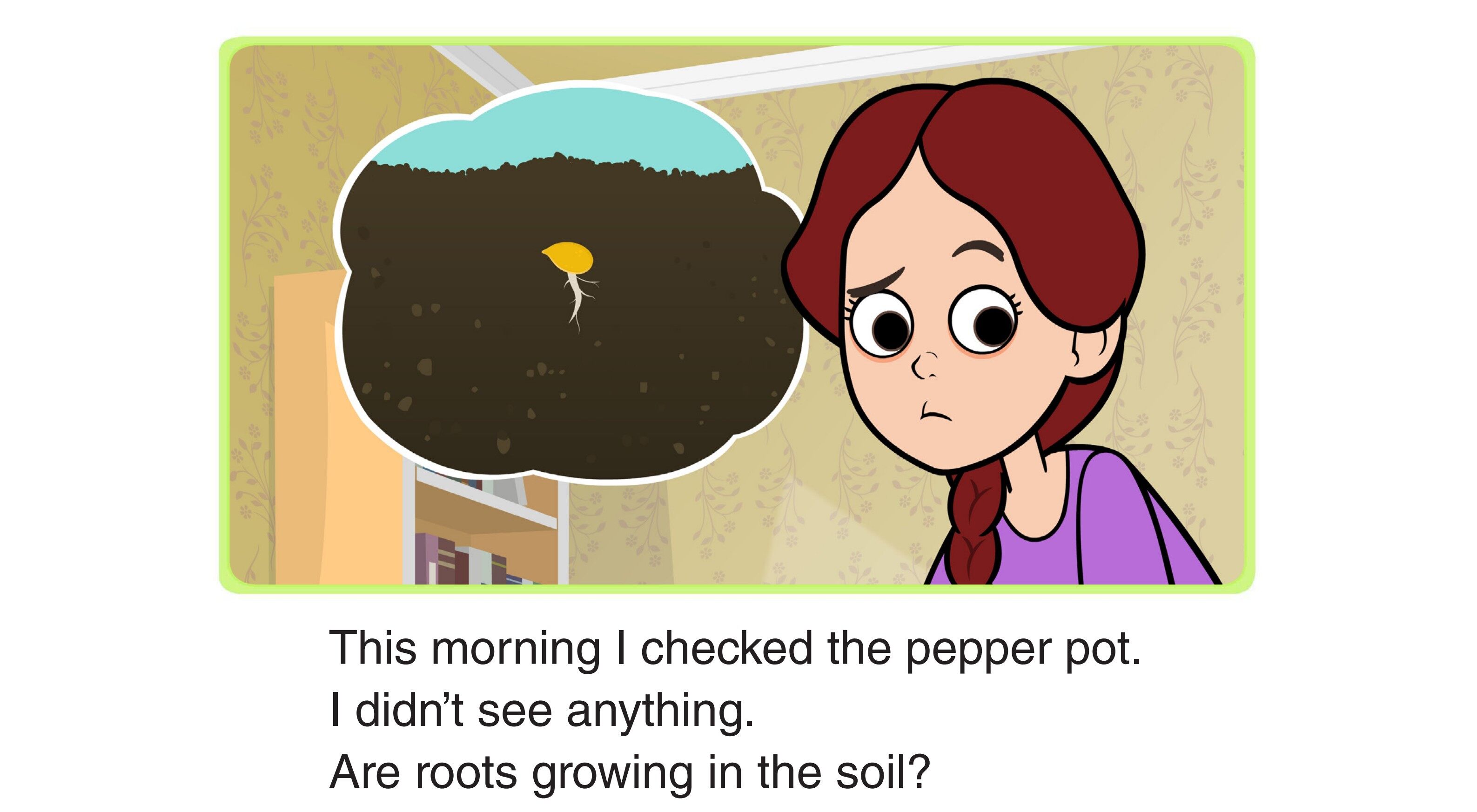 Growing Bell Peppers绘本故事第3页