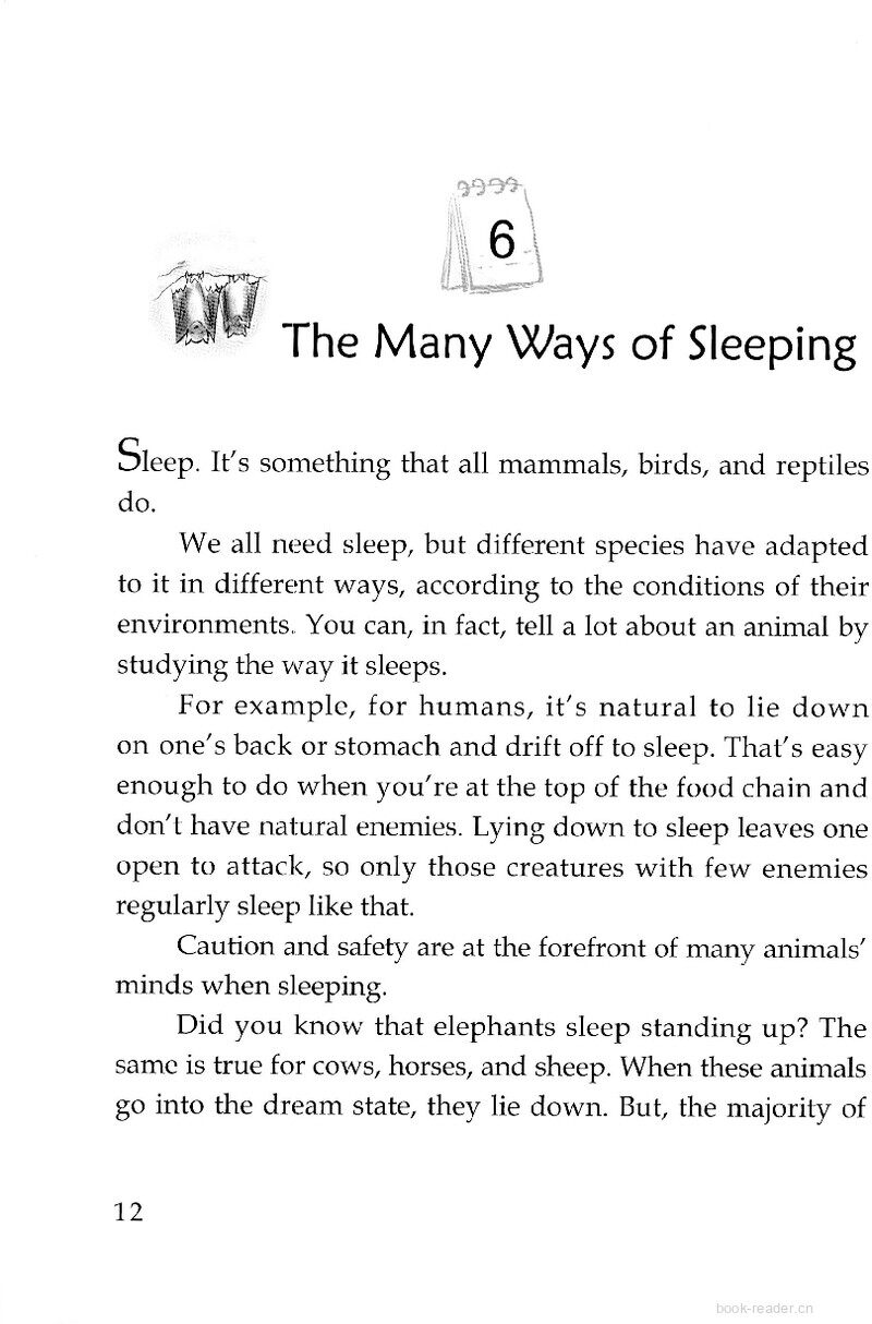 The Many Ways of Sleeping绘本故事第2页