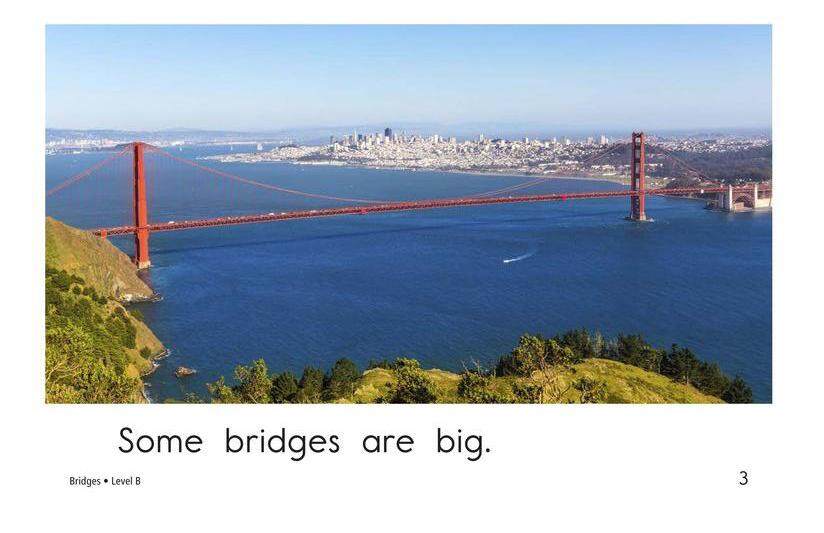 Bridges绘本故事第3页