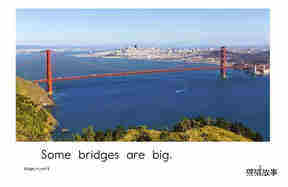 Bridges绘本故事第3页