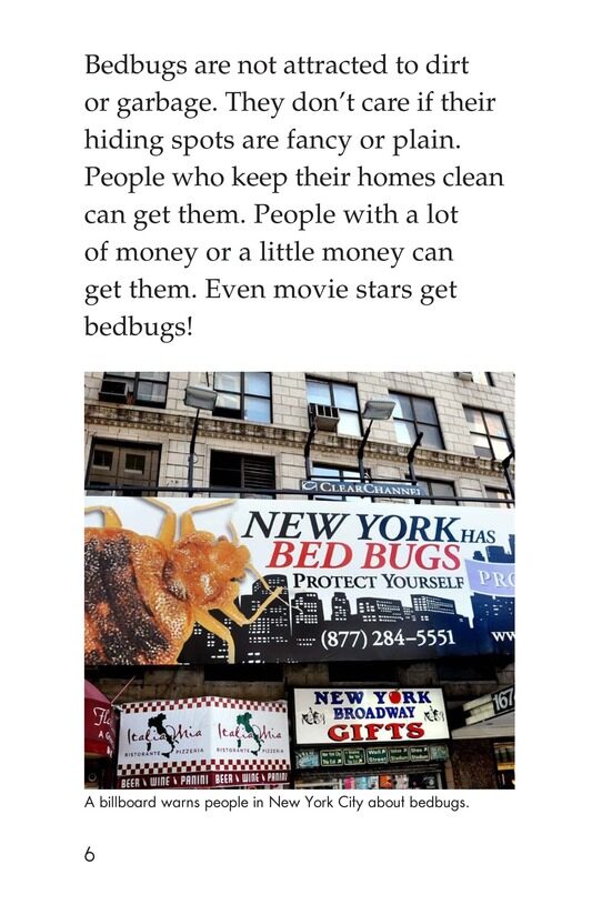 Bedbugs Bite!绘本故事第5页