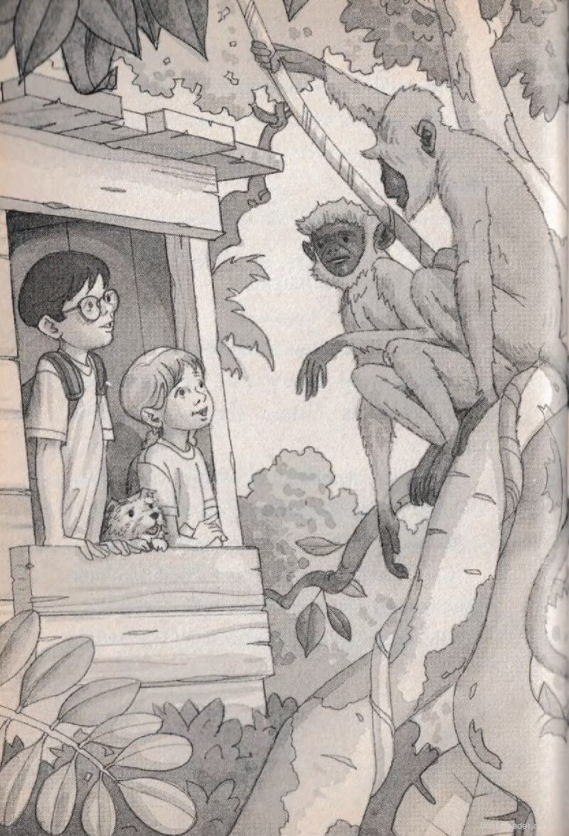 02 Kah and Ko绘本故事第4页