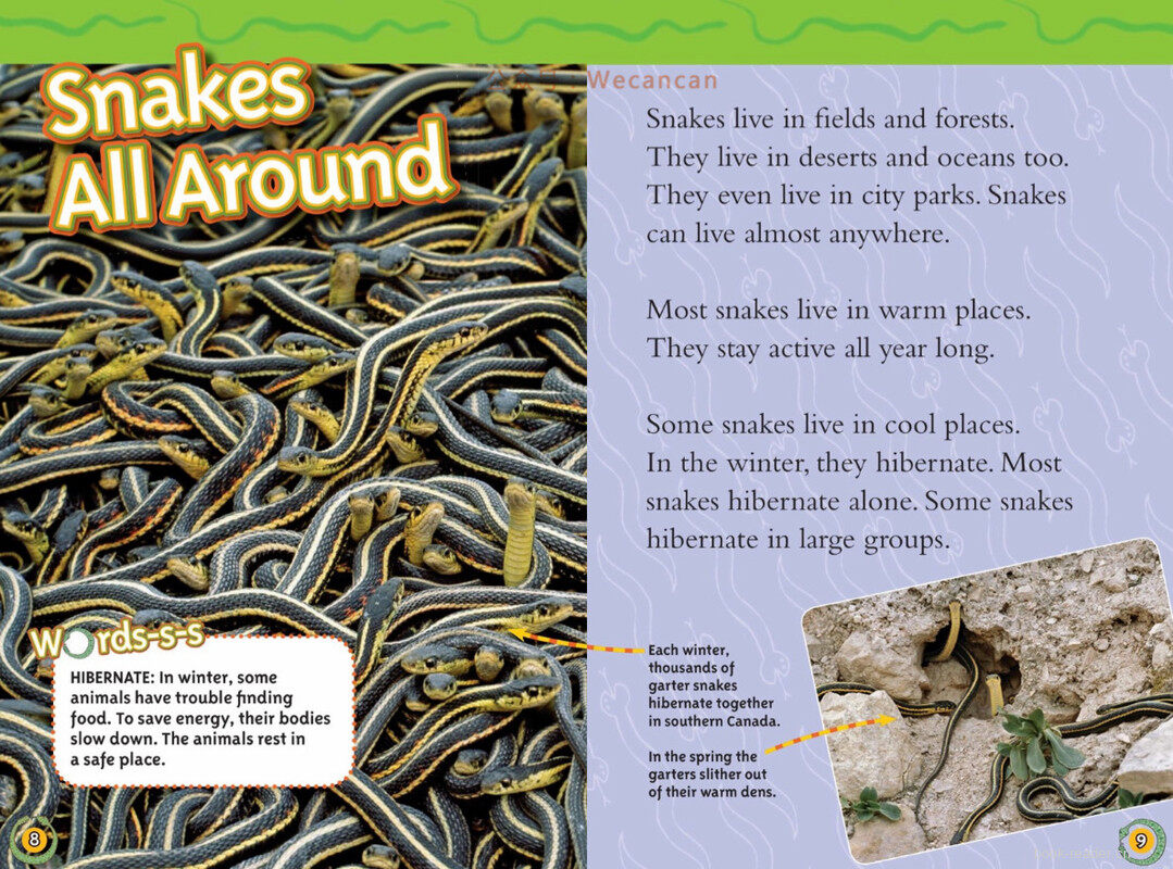 Snakes绘本故事第5页
