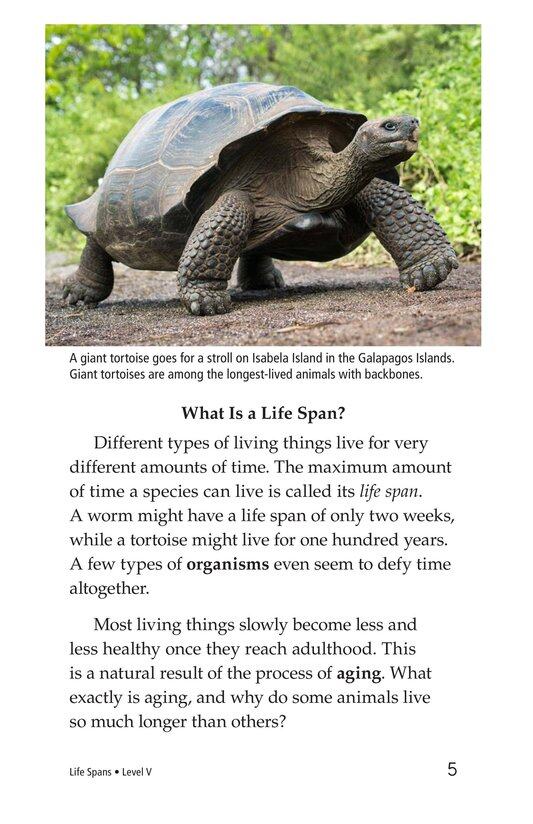 Life Spans绘本故事第4页