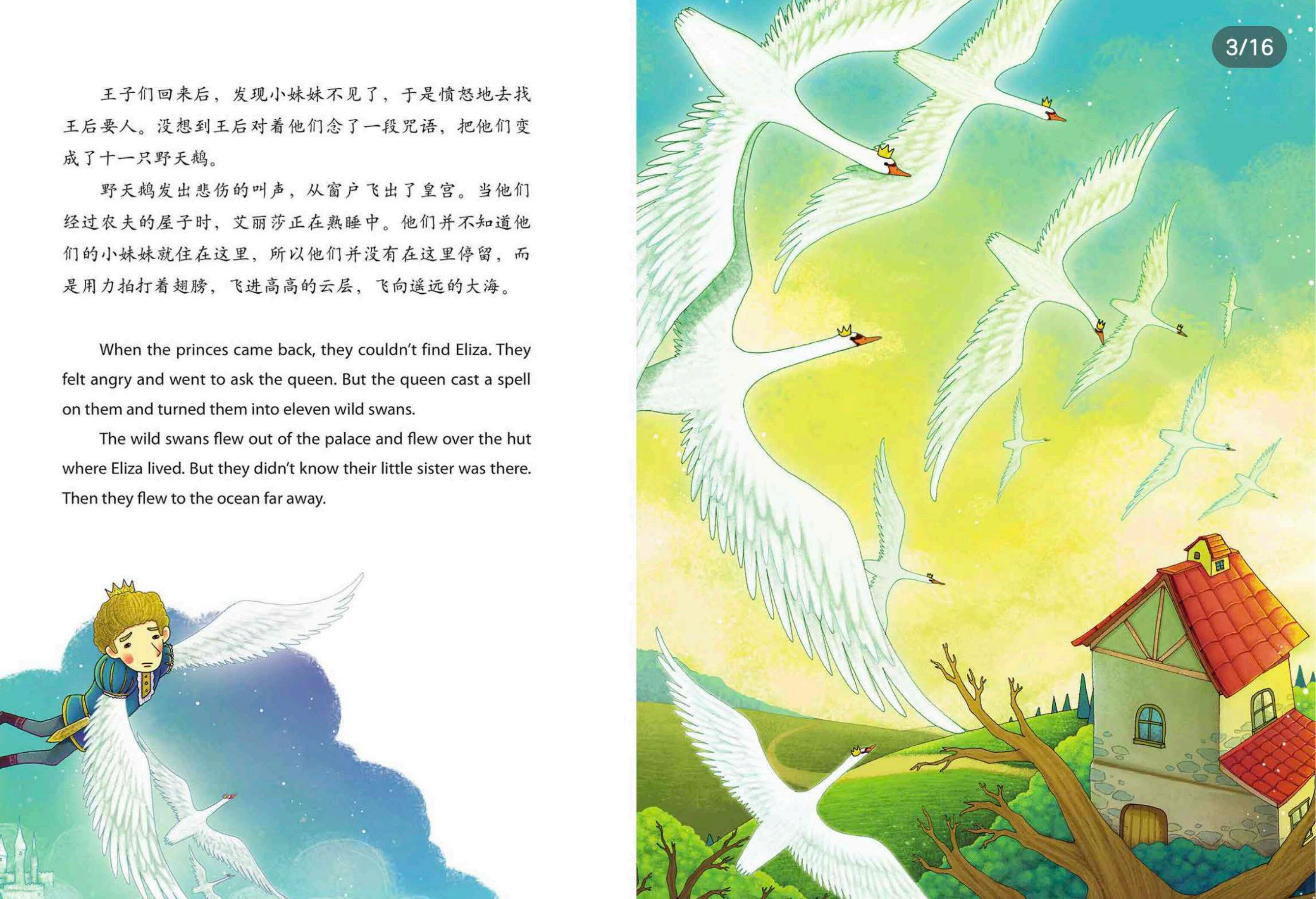 野天鹅绘本故事第3页
