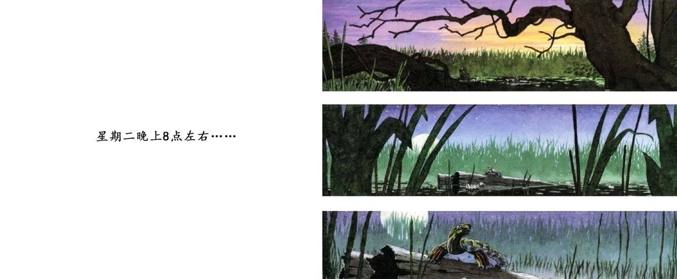 疯狂星期二绘本故事第3页