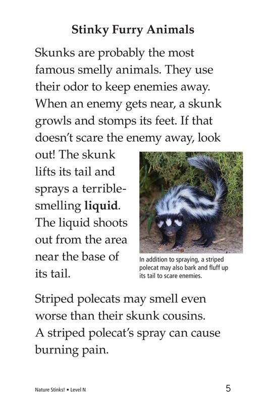 Nature Stinks!绘本故事第4页