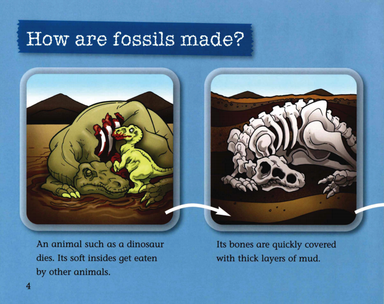 Fossils绘本故事第5页