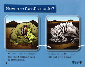 Fossils绘本故事第5页