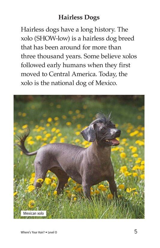 Where's Your Hair绘本故事第4页