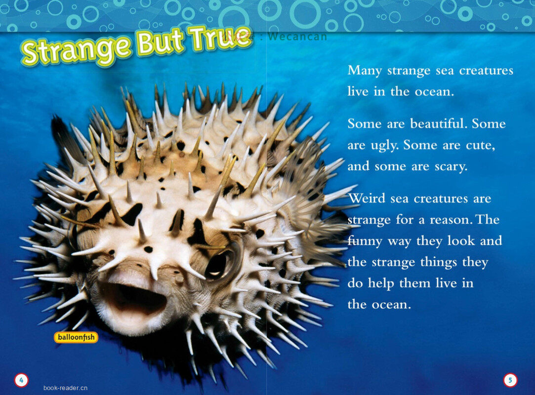 Weird Sea Creatures绘本故事第3页