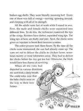 Chicks Hatching (Ⅱ)绘本故事第3页