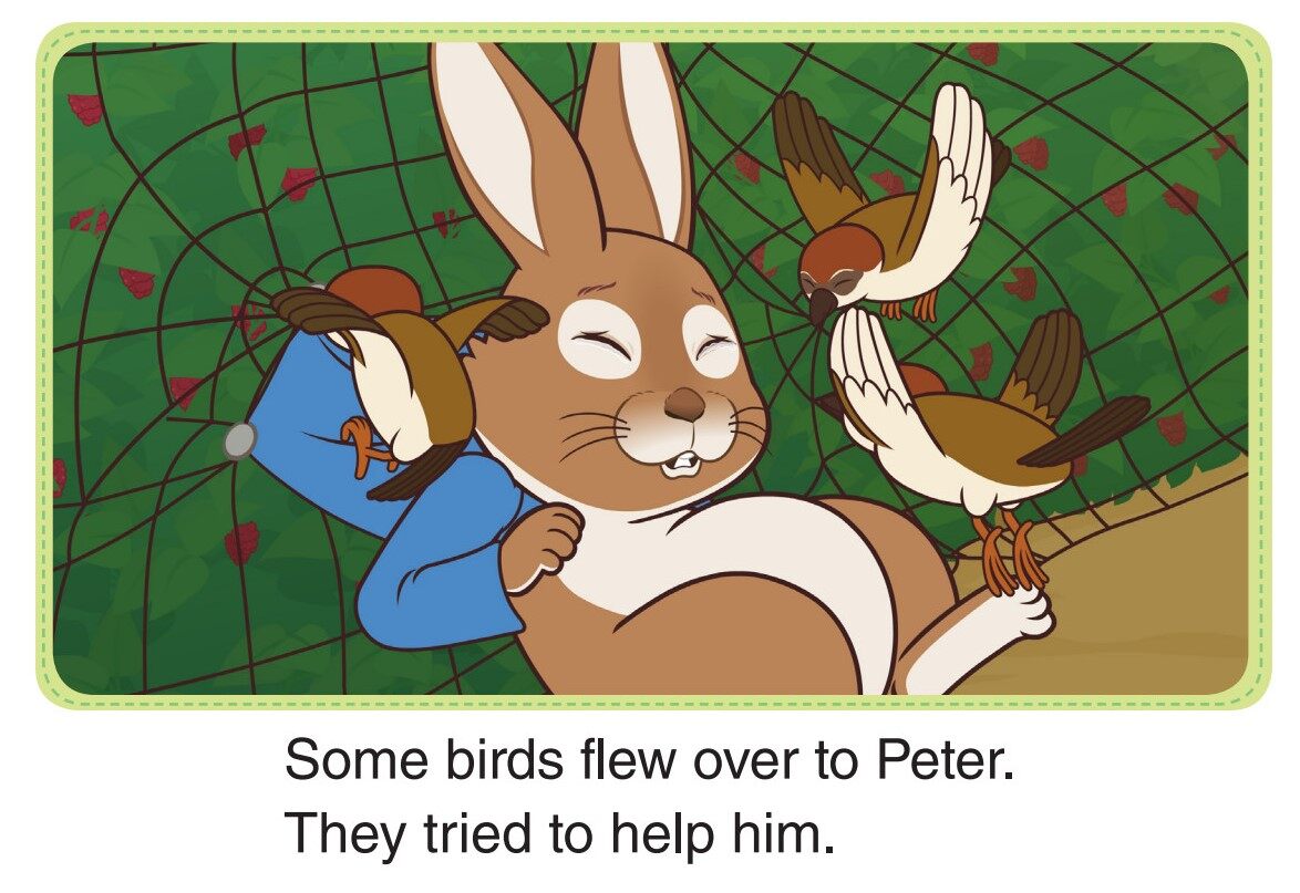 The Chase绘本故事第3页