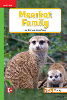 G1 Bey U2W3 Meerkat Family