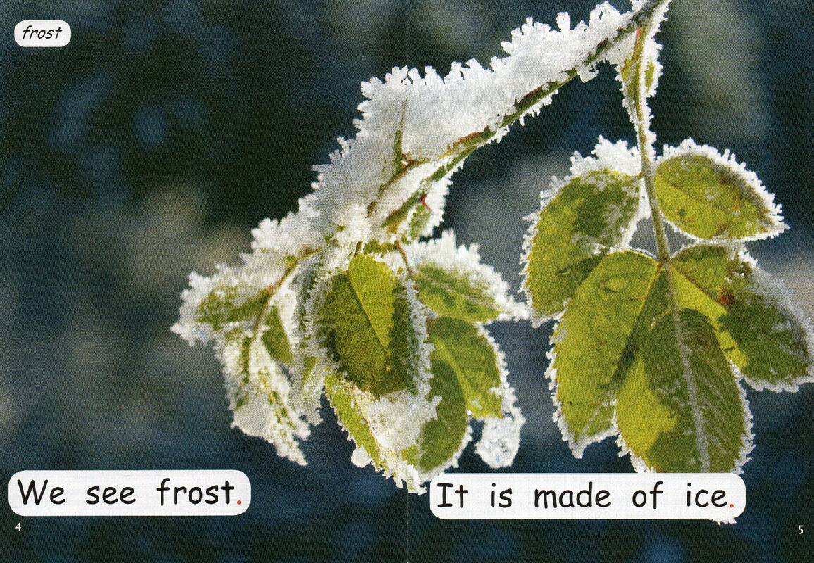 water to ice绘本故事第4页