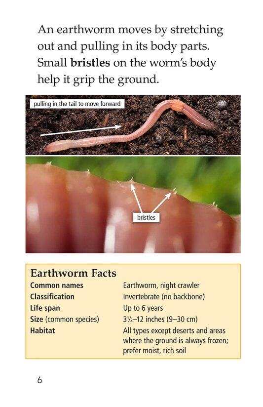 Wiggly Worms绘本故事第5页