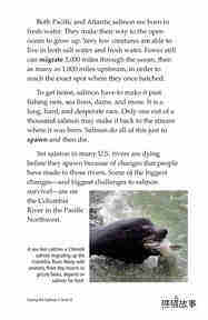 Saving the Salmon绘本故事第4页