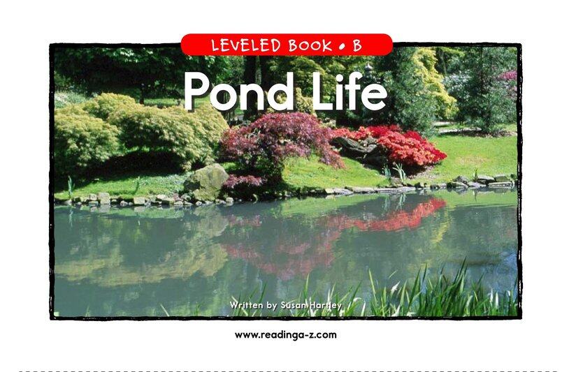 Pond Life绘本故事第2页