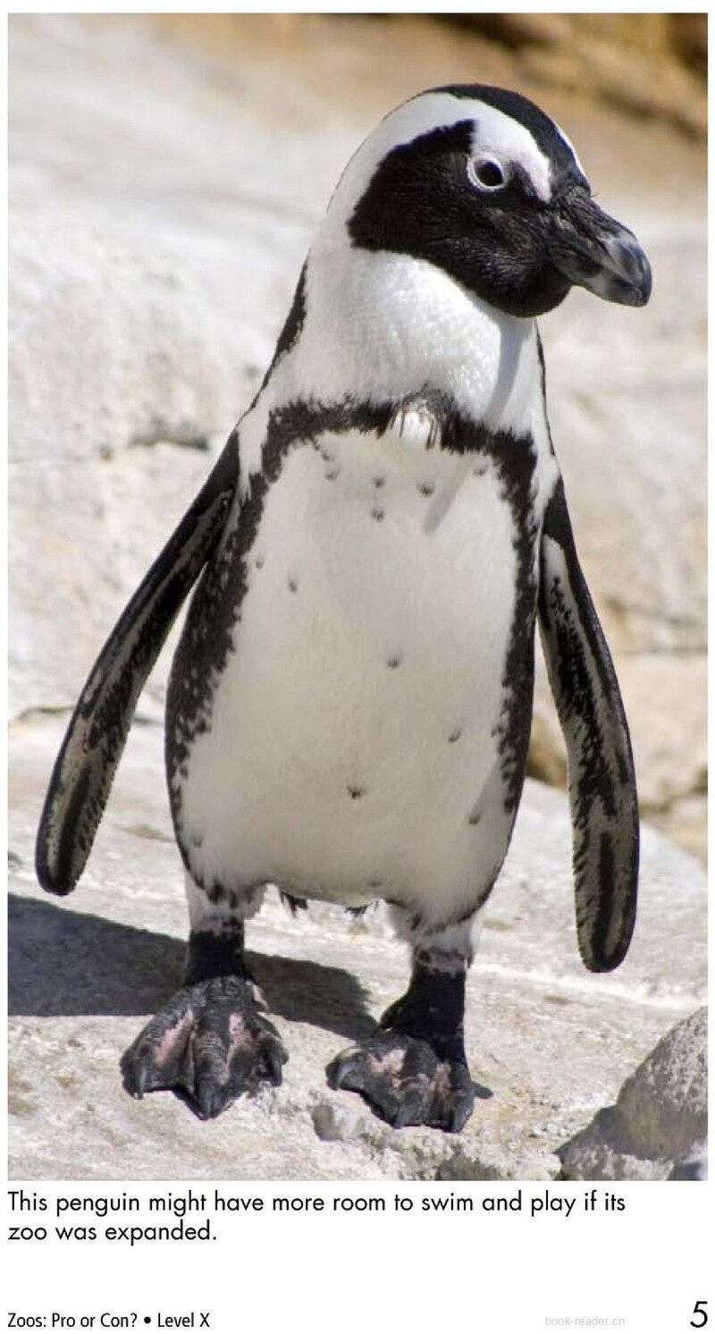 Zoos Pro or Con绘本故事第4页