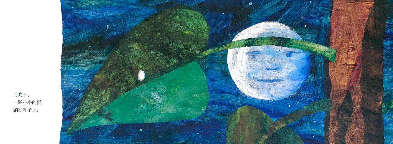 好饿的毛毛虫绘本故事第3页