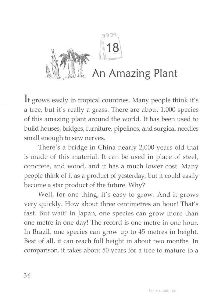 An Amazing Plant绘本故事第2页