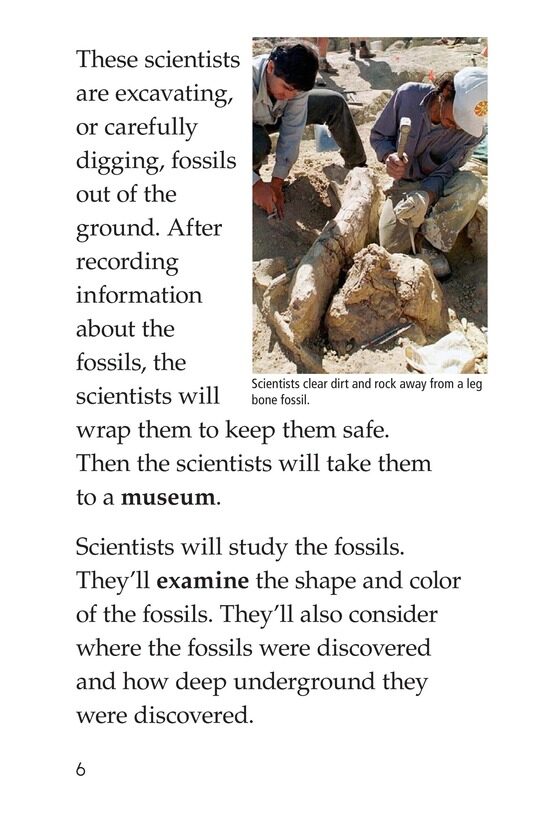 Discovering Dinosaurs绘本故事第5页