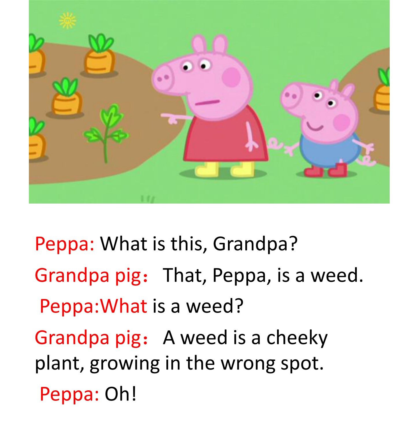 The Wishing Well绘本故事第4页